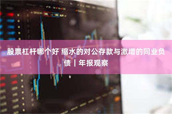 股票杠杆哪个好 缩水的对公存款与激增的同业负债｜年报观察
