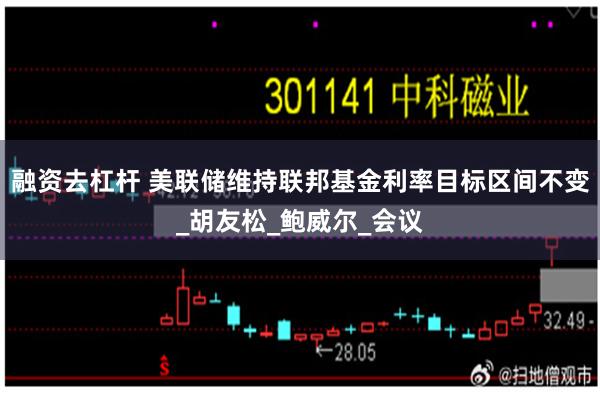 融资去杠杆 美联储维持联邦基金利率目标区间不变_胡友松_鲍威尔_会议