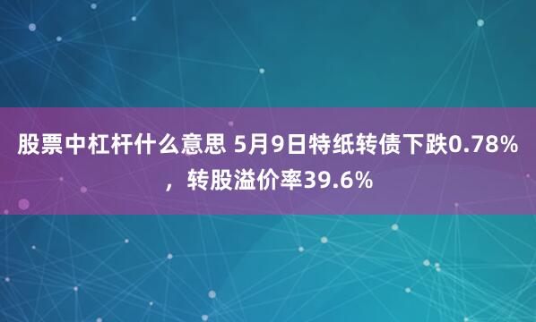 股票中杠杆什么意思 5月9日特纸转债下跌0.78%，转股溢价率39.6%