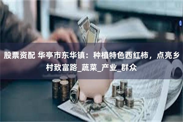 股票资配 华亭市东华镇：种植特色西红柿，点亮乡村致富路_蔬菜_产业_群众