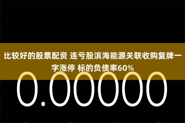 比较好的股票配资 连亏股滨海能源关联收购复牌一字涨停 标的负债率60%