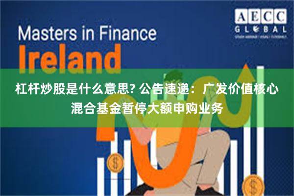 杠杆炒股是什么意思? 公告速递：广发价值核心混合基金暂停大额申购业务