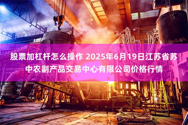 股票加杠杆怎么操作 2025年6月19日江苏省苏中农副产品交易中心有限公司价格行情