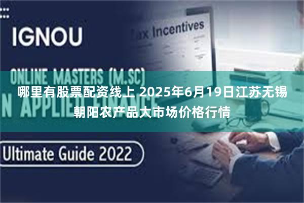 哪里有股票配资线上 2025年6月19日江苏无锡朝阳农产品大市场价格行情