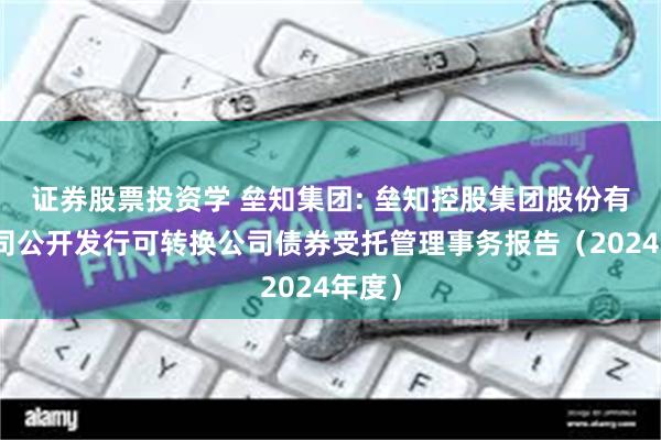 证券股票投资学 垒知集团: 垒知控股集团股份有限公司公开发行可转换公司债券受托管理事务报告（2024年度）