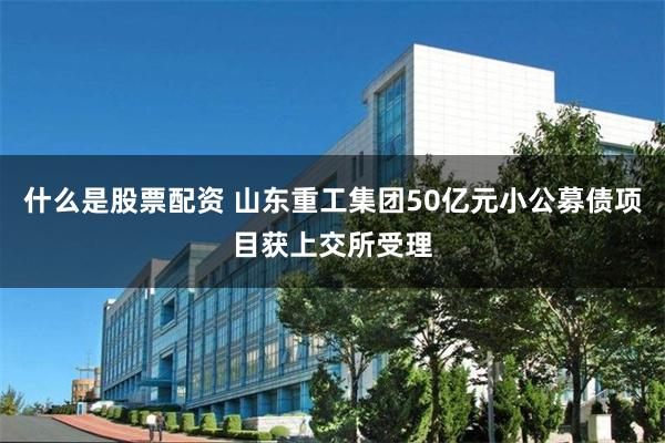 什么是股票配资 山东重工集团50亿元小公募债项目获上交所受理