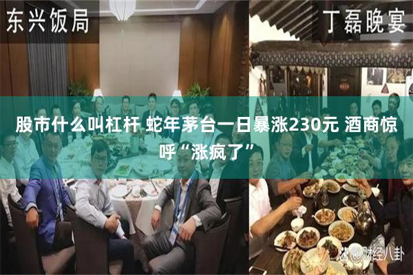 股市什么叫杠杆 蛇年茅台一日暴涨230元 酒商惊呼“涨疯了”